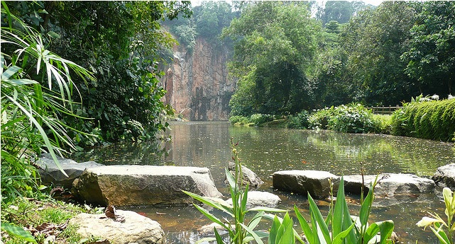 Bukit Batok Pond in Singapore, CC nuffcumptin