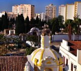 Nests in Faro