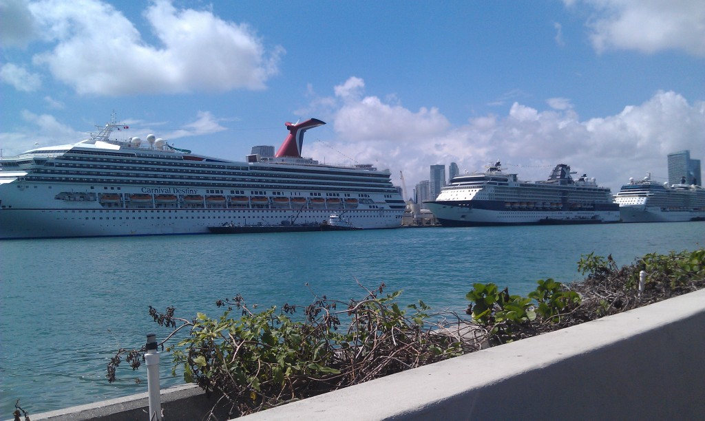The Cruise Ships at the Port of Miami