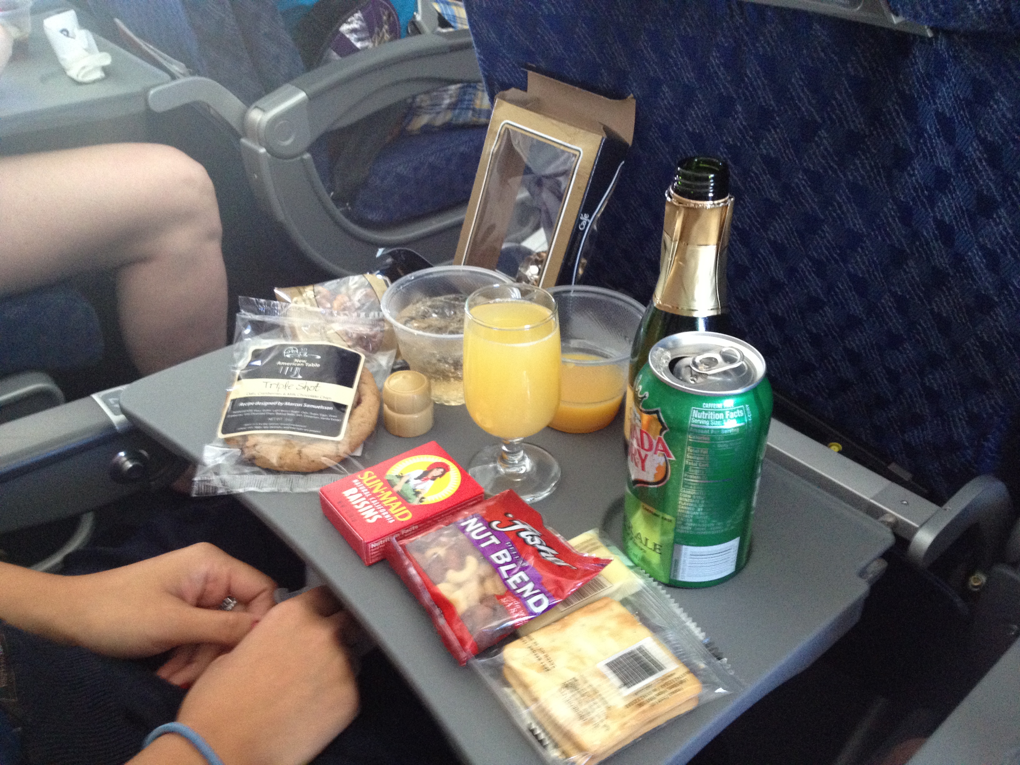 Airplane Food