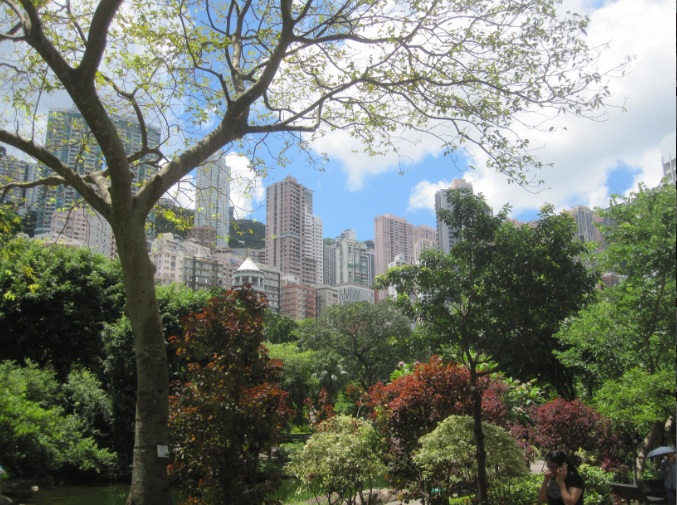 Hong Kong Park on a sunny day