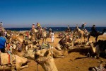 Things to Know Before Traveling in Egypt