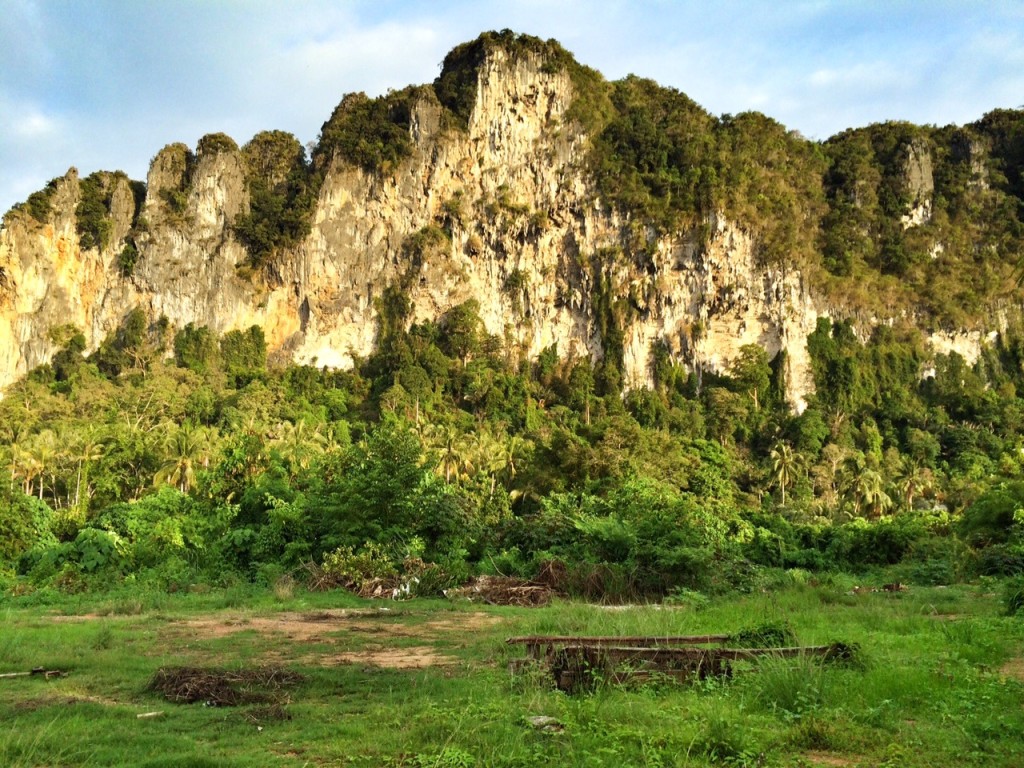 limestone karst clifs in Krabi