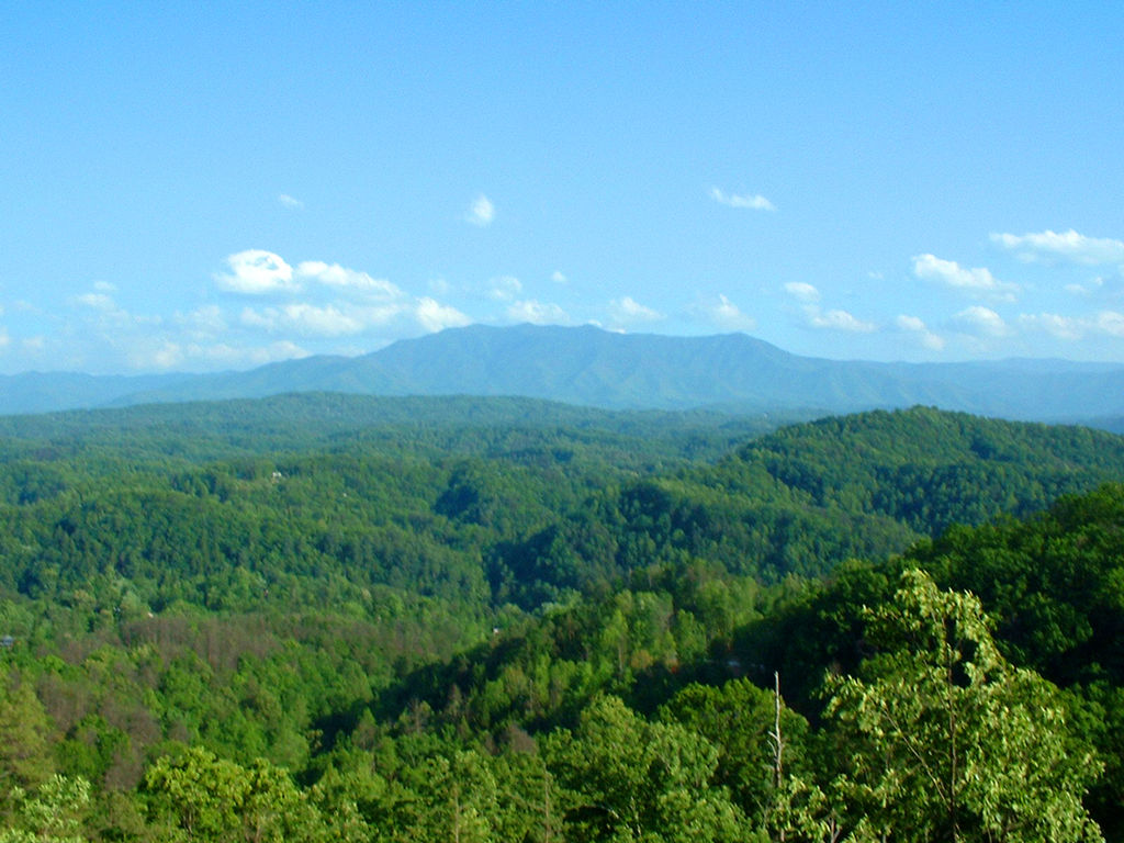 The Smoky Mountains are an amazing place to visit in the summer ... photo by CC user Mountain Vacation Resorts on wikimedia
