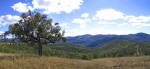 Five Queensland Parks with 4WD Only Access