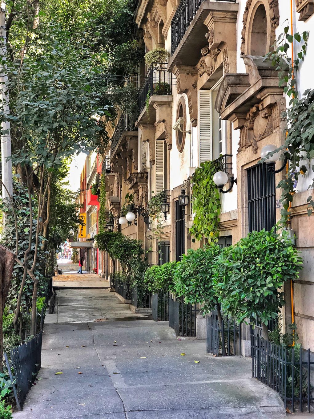 Things to know before Visiting Mexico City!