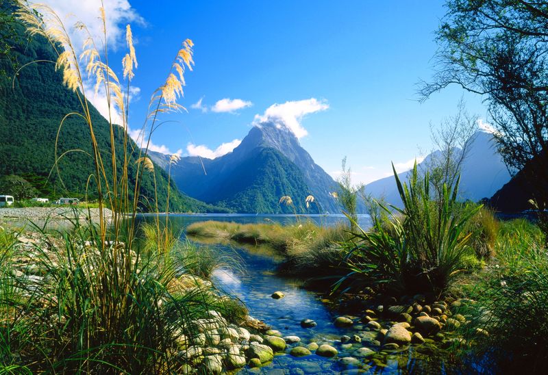 Best landscape hotsell