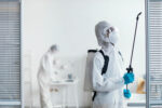 The Role of Professional Exterminators in Emergency Pest Removal