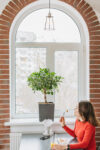 A Window to Your Style: Selecting the Perfect Coverings