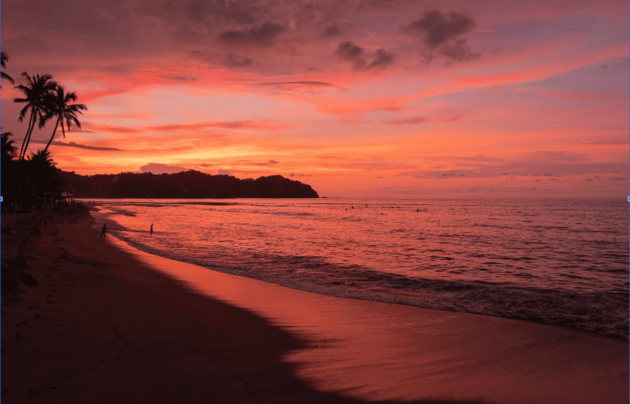 Things To Do in Sayulita