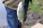 Best Freshwater Fishing Lakes and Rivers for Weekend Trips