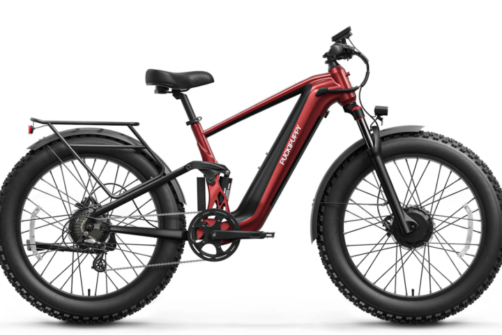 Fat tire electric bike